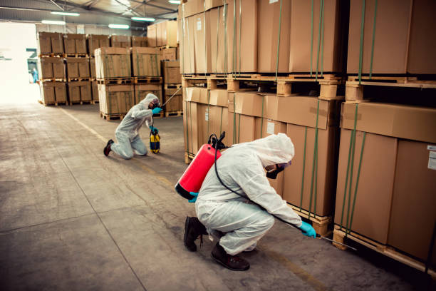 Best Exterminator Services  in Iona, FL