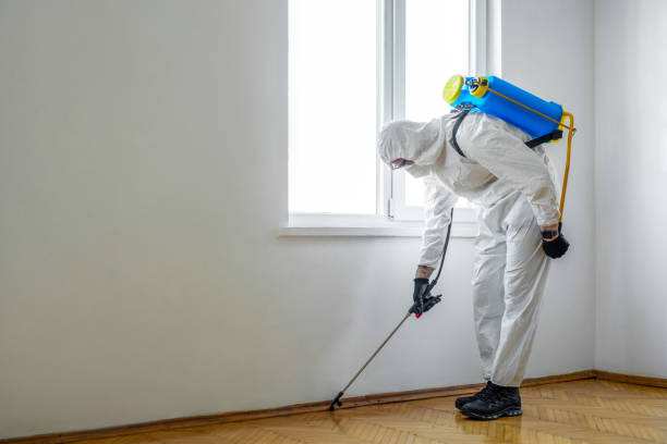 Best Pest Inspection Near Me  in Iona, FL